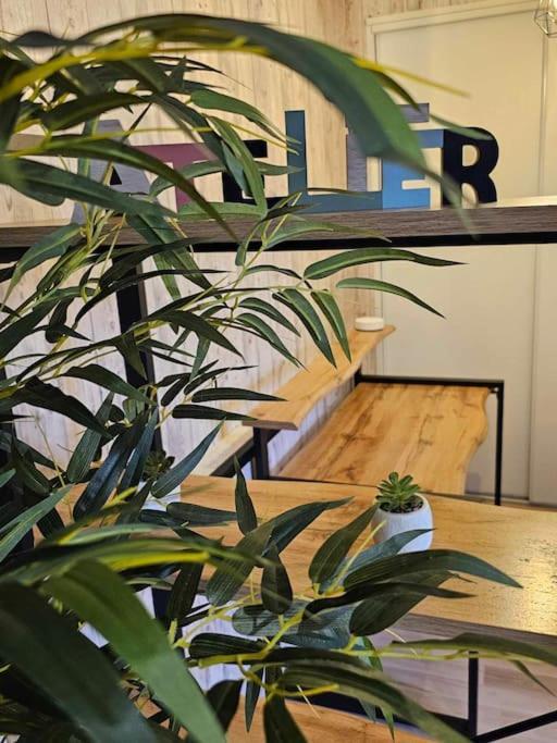 Cosy Loft - Calais Apartment ภายนอก รูปภาพ